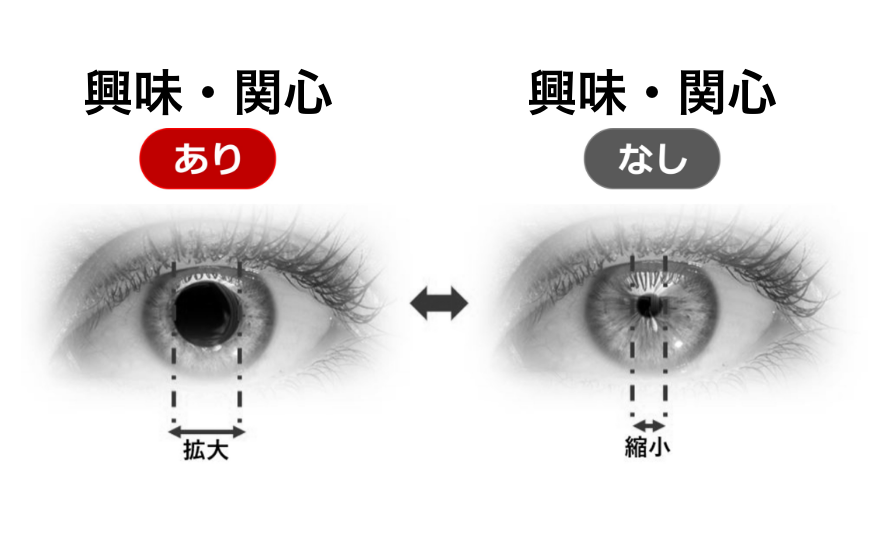 瞳孔反応(興味・関心)